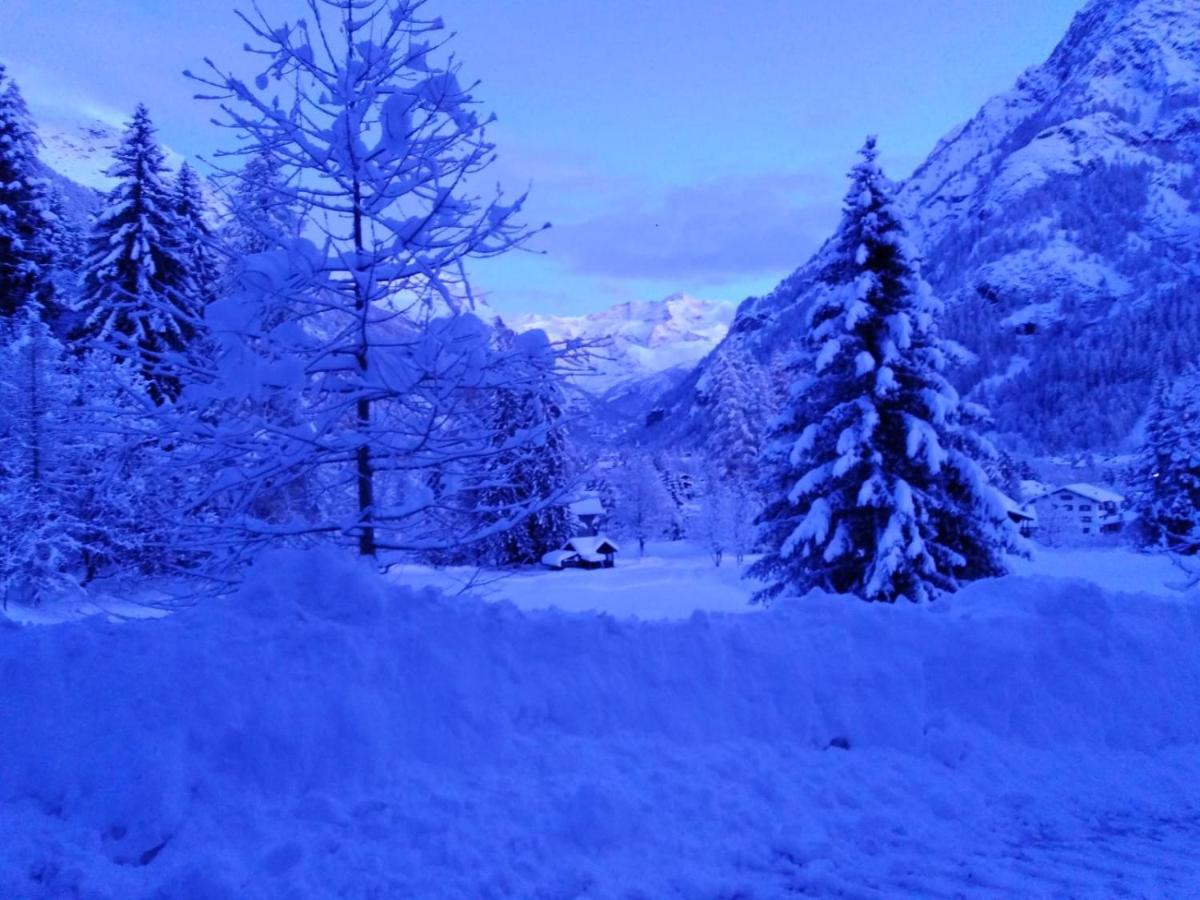 Appartement Quadrifoglio Gressoney-Saint-Jean Exterior photo